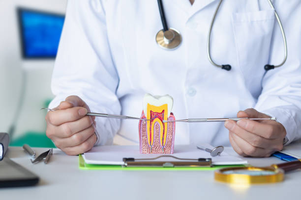 Best Emergency Treatment for Oral Infections in Lake Placid, FL